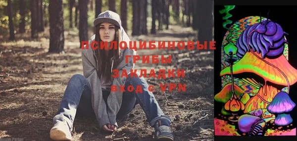 молекула духа Алексеевка