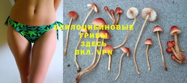 молекула духа Алексеевка