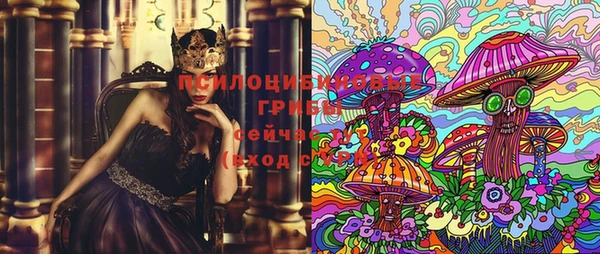 молекула духа Алексеевка
